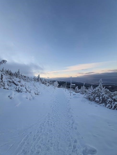 toravon the ice watcher guide